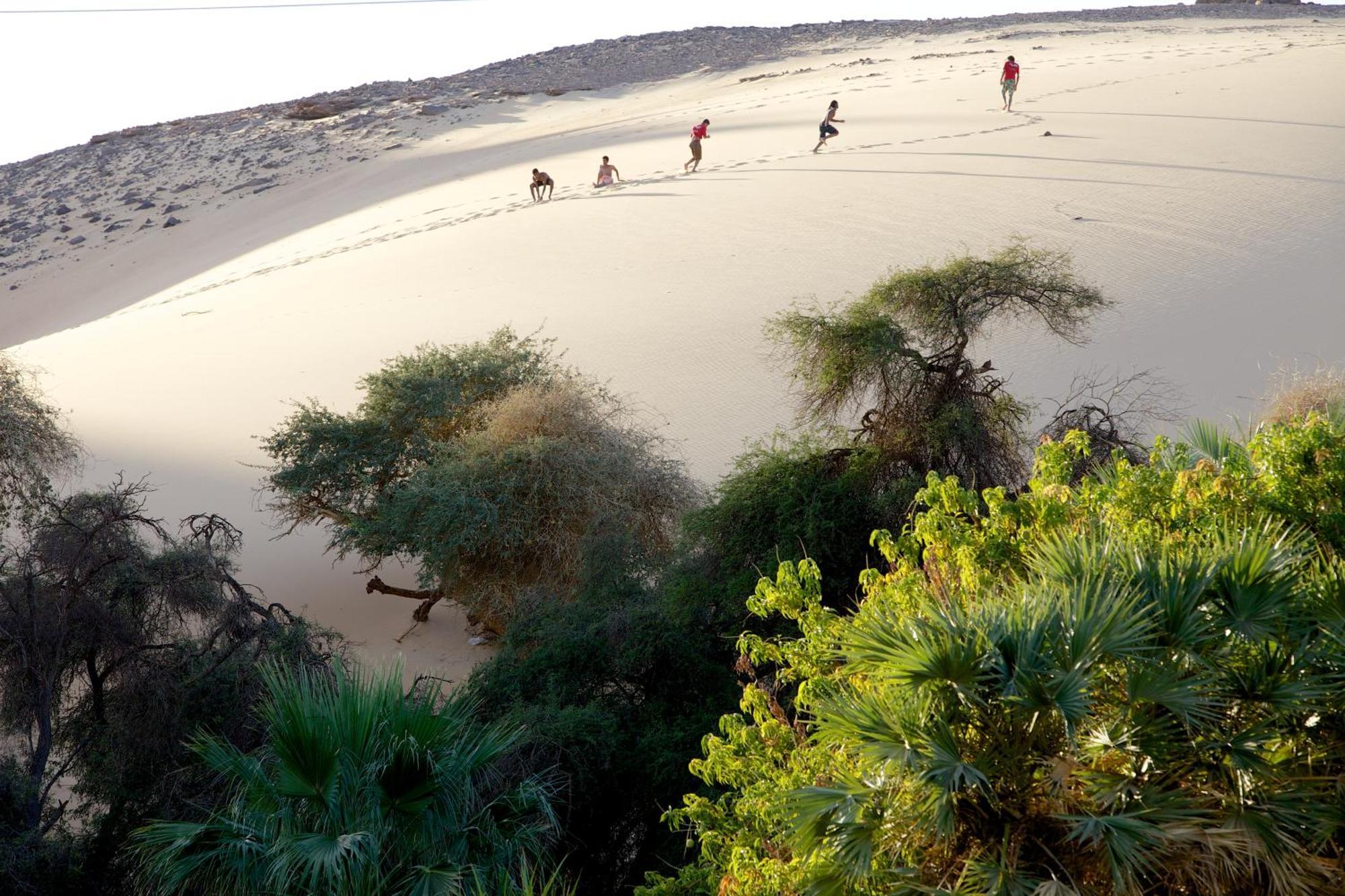 Hadouta Masreya Nubian Guest House アスワン エクステリア 写真